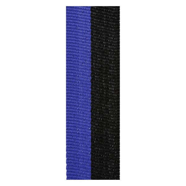Black / Blue Ribbon