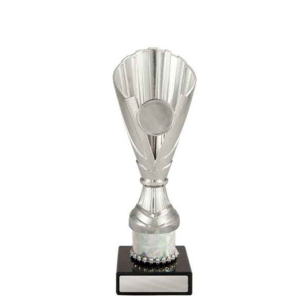 D22-1341: Norwood Cup