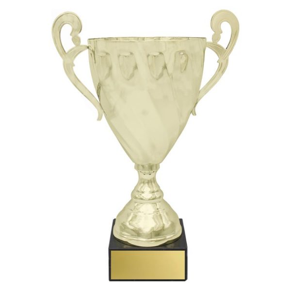 Fidelity Cup – Gold