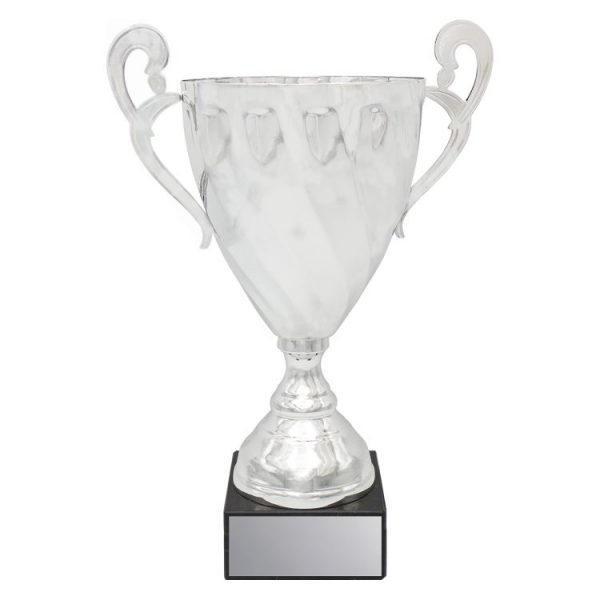 Fidelity Cup – Silver