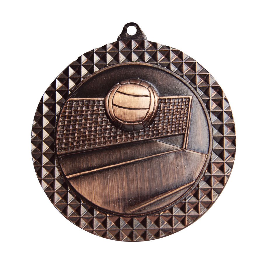 1080-13BR 70mm Medal Volleyball