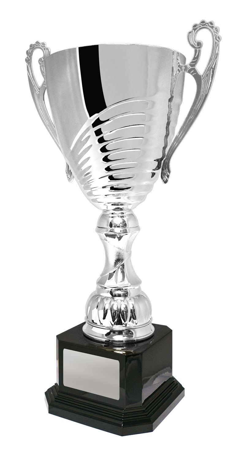 1119S-9P Prosecco Cup