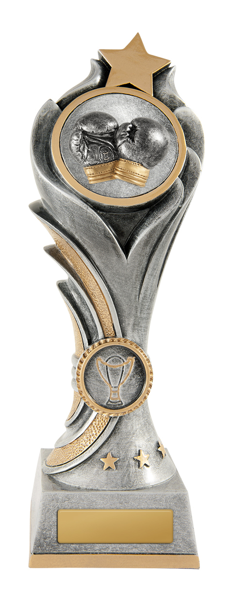 13C-2DC32A Flame Tower-Boxing