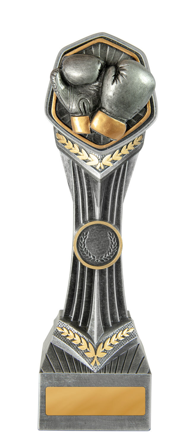 19E-RI32G Falcon Tower-Boxing