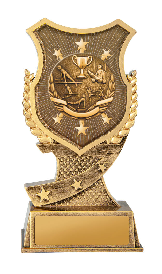 20B-SS20GL Shield Stand-Gym