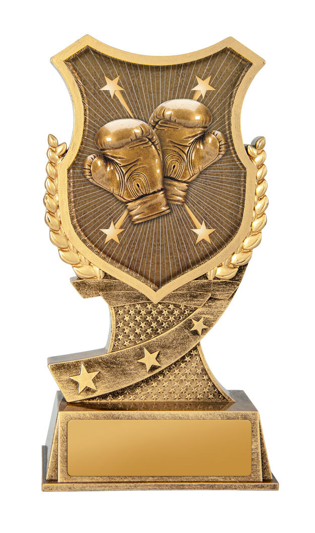 20B-SS32GL Shield Stand-Boxing