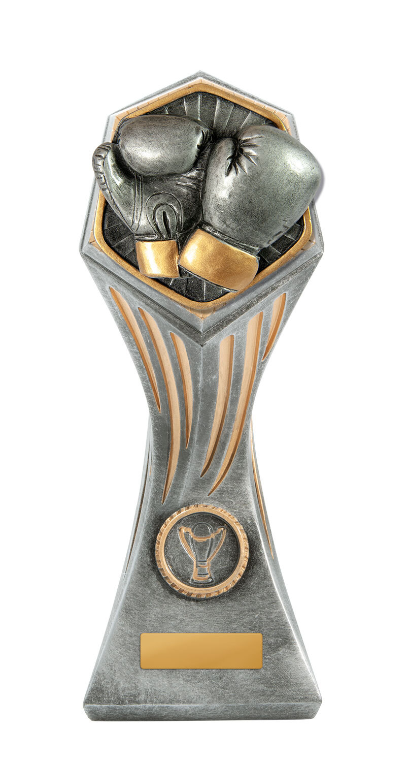 22E-RI32G Gladiator Tower-Boxing