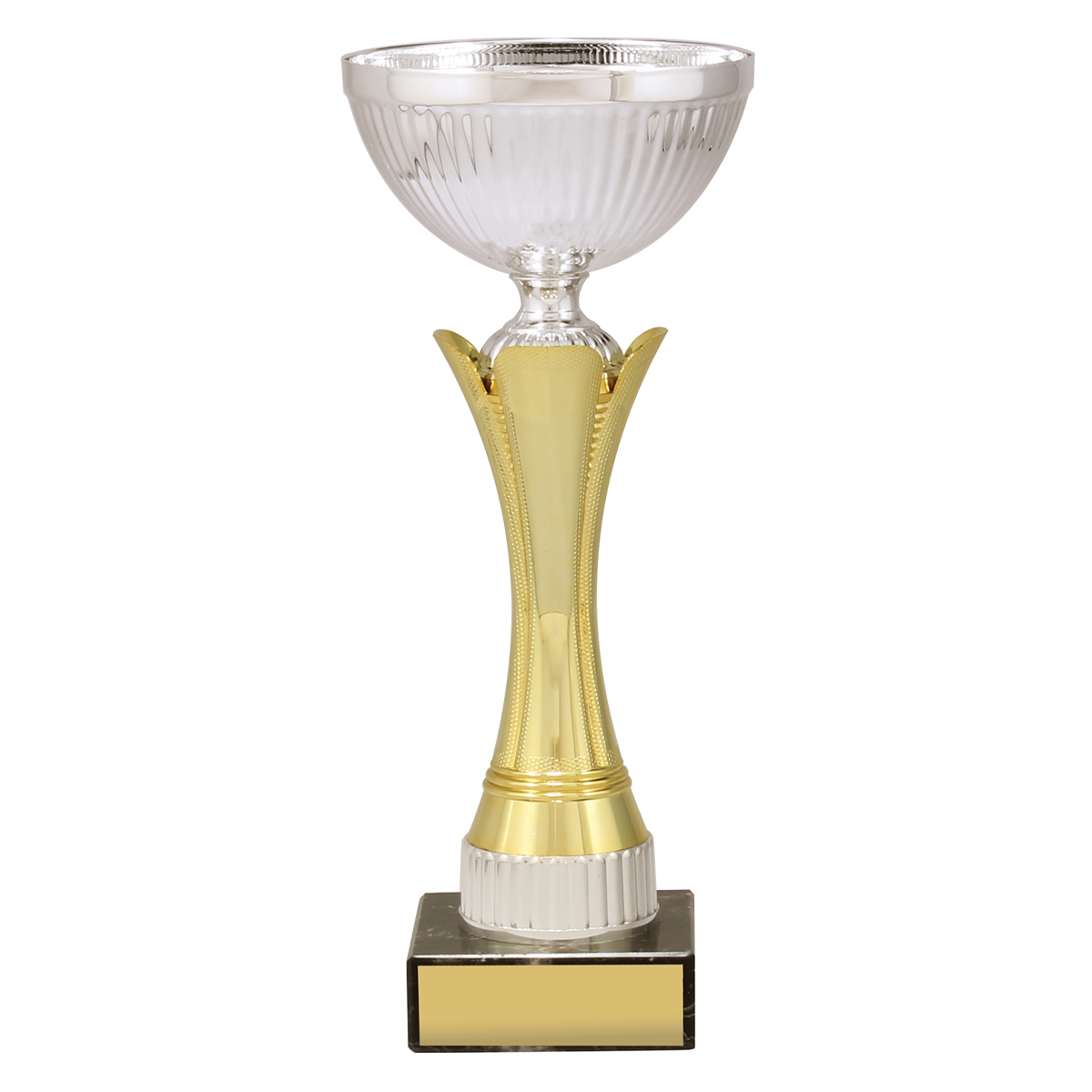 CUP167 Equity - Gold & Silver