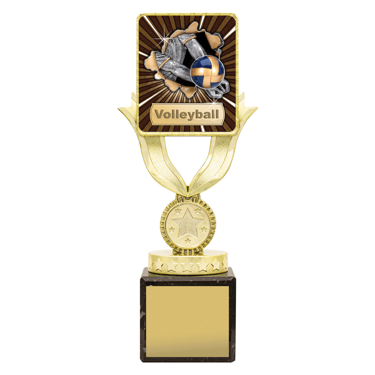 LPB027 Lynx Sentry - Volleyball