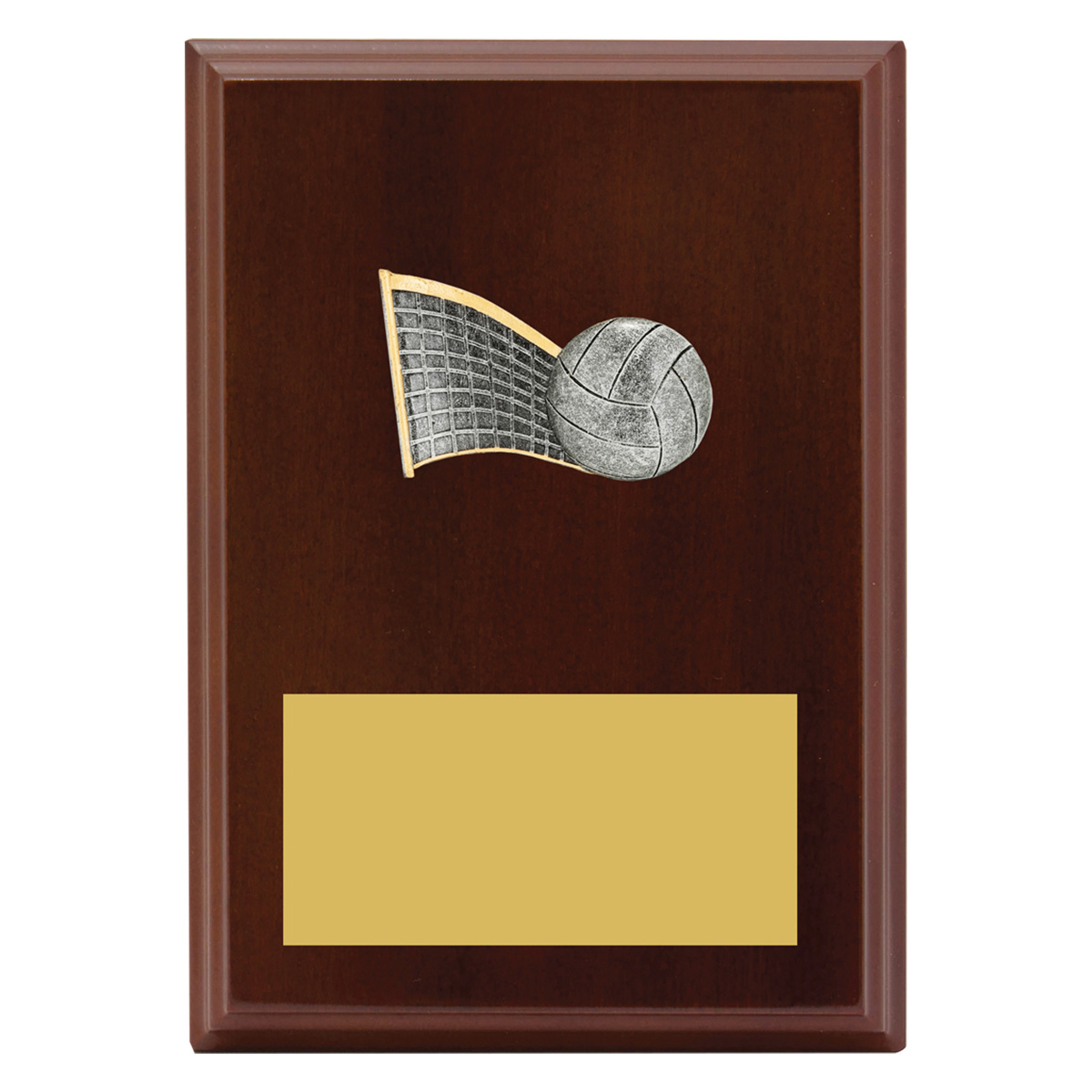 LPF427 Peak Plaque Volleyball