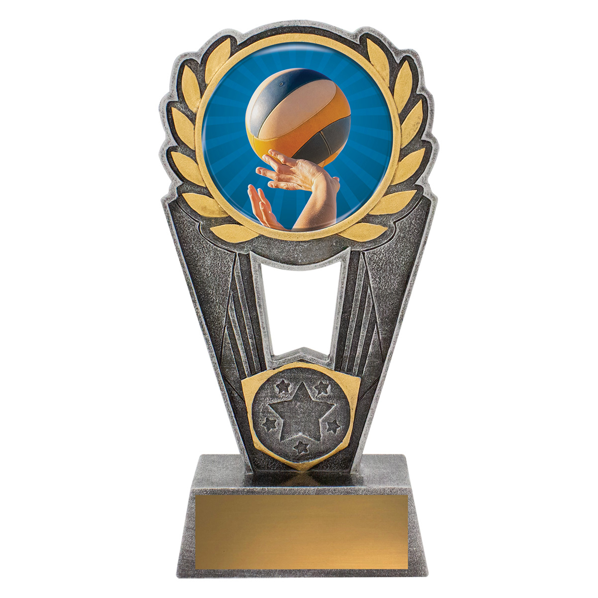 PSC271 Volleyball Polaris - Colour