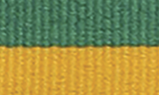 1065GN-G Green / Gold Ribbon