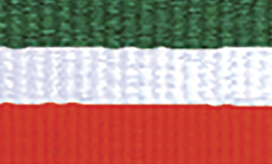 1065GN-WH-OR Green / White / Orange Ribbon