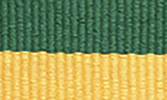 1065GN-Y Green / Yellow Ribbon