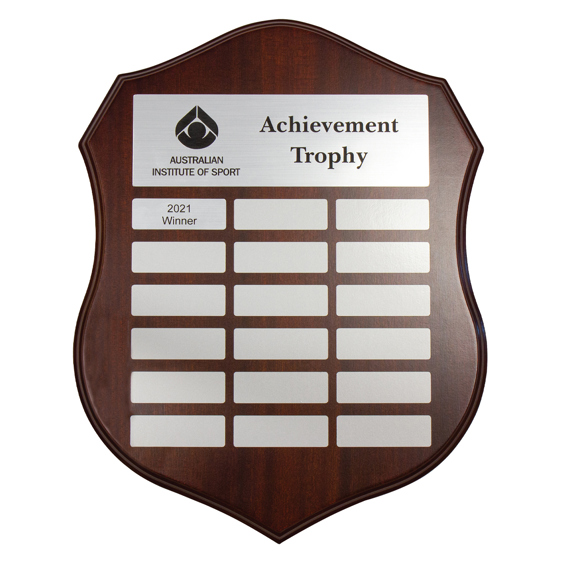 PES-13-01 Distinction Silver Shield