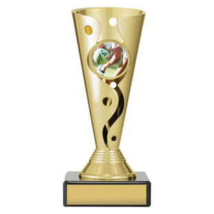 CRV421 Carnival Cup - Touch