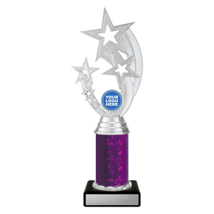 D5197 Silver Flying Star