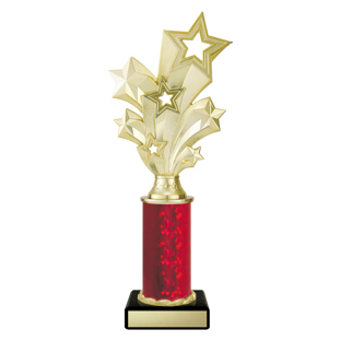 D5200 Gold Starburst