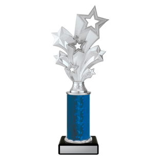 D5201 Silver Starburst