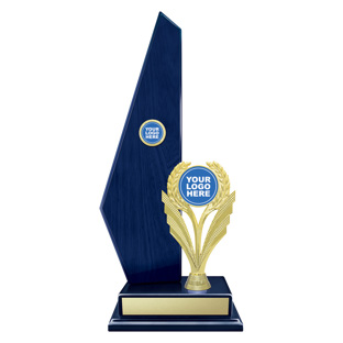 F546 Blue Vintage Starboard