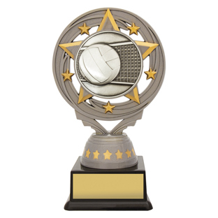 FT227 Silver Volleyball Torch