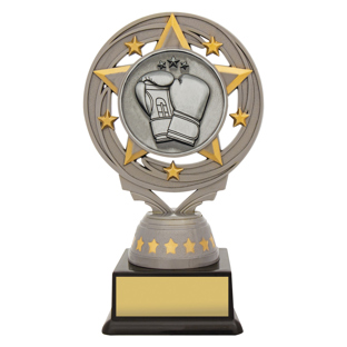 FT232 Silver Boxing Torch