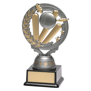 FT240 Cricket Silver Torch