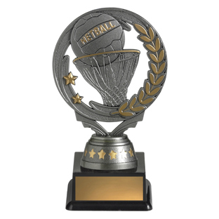 FT291 Budget Torch - Netball