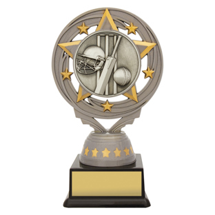 FT540 Silver Cricket Torch