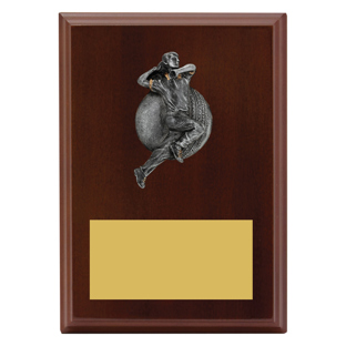 LPF411 Plaque - Male Bowling