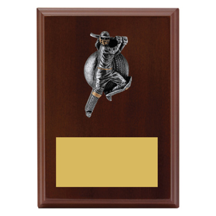 LPF416 Plaque - Female Batting