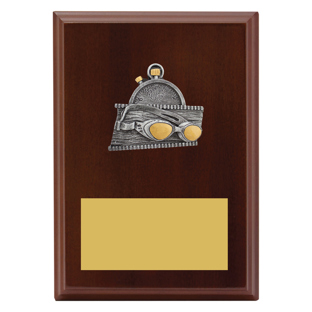 LPF430 Peak Plaque Swim