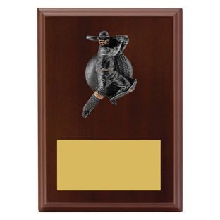 LPF441 Plaque - Male Batting