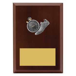 LPF447 Peak Plaque Track