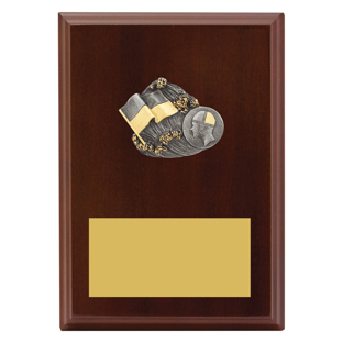 LPF458 Peak Plaque Lifesaving