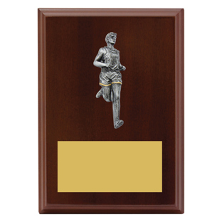 LPF476 Peak Plaque - Male