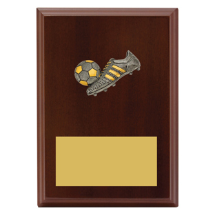 LPF480 Peak Plaque Football