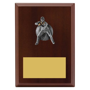 LPF491 Plaque - Male Fielding
