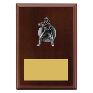 LPF492 Plaque - Female Fielding