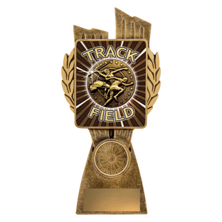LR041 Antique Gold Lynx - Track & Field