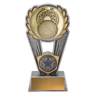 PLS134 Basketball Polaris