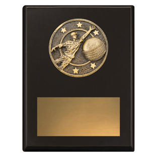 SP610 Challenge Plaque - Fielding