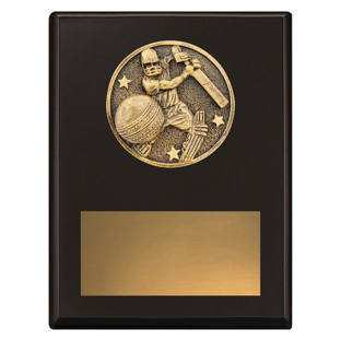 SP614 Challenge Plaque - Batting