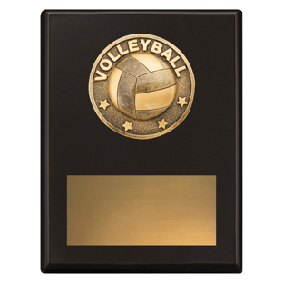 SP627 Challenge Plaque - Volleyball