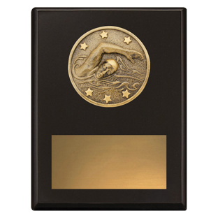 SP630 Challenge Plaque - Swim