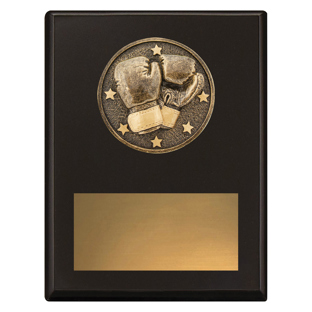 SP632 Challenge Plaque - Boxing