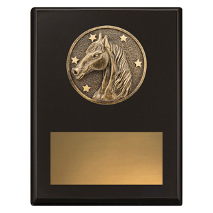 SP635 Challenge Plaque - Horse