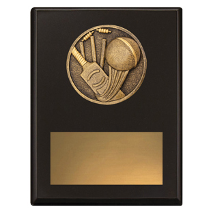 SP640 Challenge Plaque - Cricket
