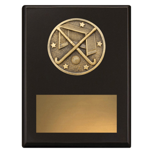 SP644 Challenge Plaque - Hockey