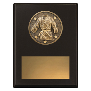 SP645 Challenge Plaque - Martial Arts